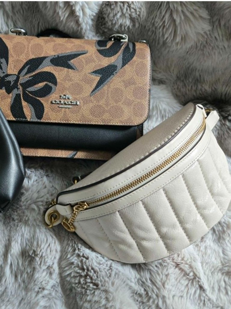 2 Coach Purses For 1 Price